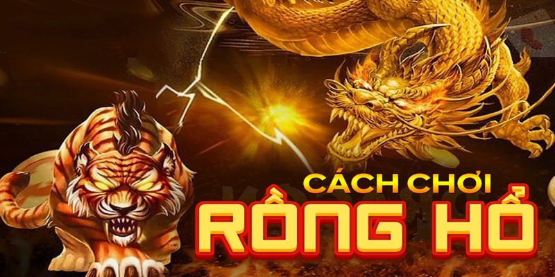 Rồng hổ 888B là gì? Bí kíp chơi game rồng hổ bất bại